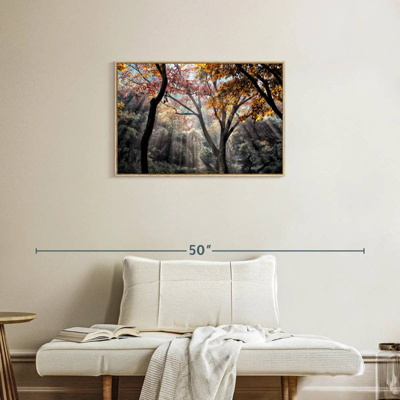 Rayons de soleil de la forêt, Cadre flottant en bois naturel, 31 po x 21 po
