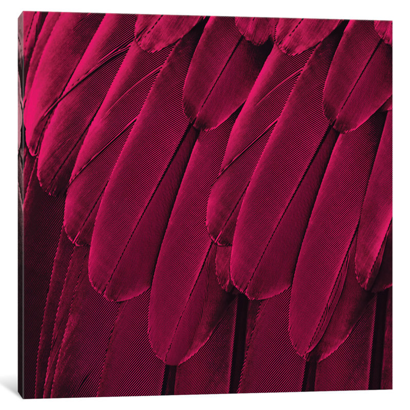 «Feathered Friend in Magenta», reproduction de photo sur toile, H 26 po x l 26 po x P 0,75 po