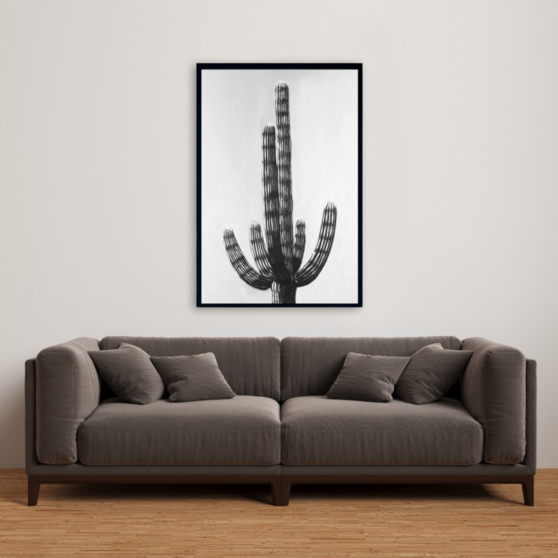 " Cactus "