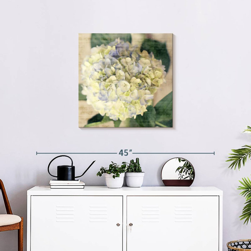 Harnek Hydrangeas II, 24" H x 24" W