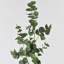 Branche d'eucalyptus artificiel Audet (1 tige)-1336703799