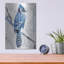 «Blue Jay 1» par Stellar Design Studio-1916914408