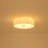 Aurevane 3-Light Dimmable Pleated Fabric Flush Mount Ceiling Light