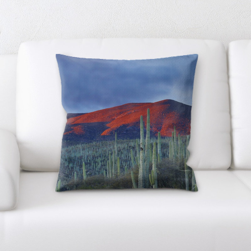Hershel Throw Pillow