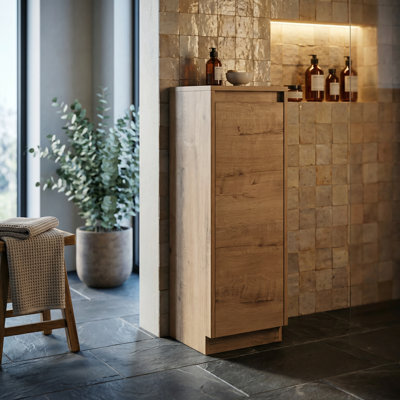 Armoire de rangement compacte et autoportante avec porte à fermeture en douceur et tablettes réglables pour une organisation efficace de l'espace