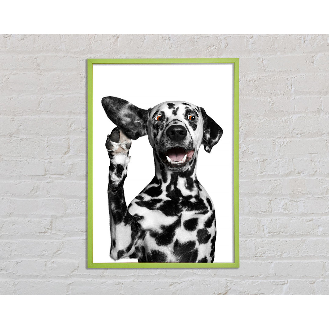 Dalmation Dog High Five - Einzelner Bilderrahmen Kunstdrucke