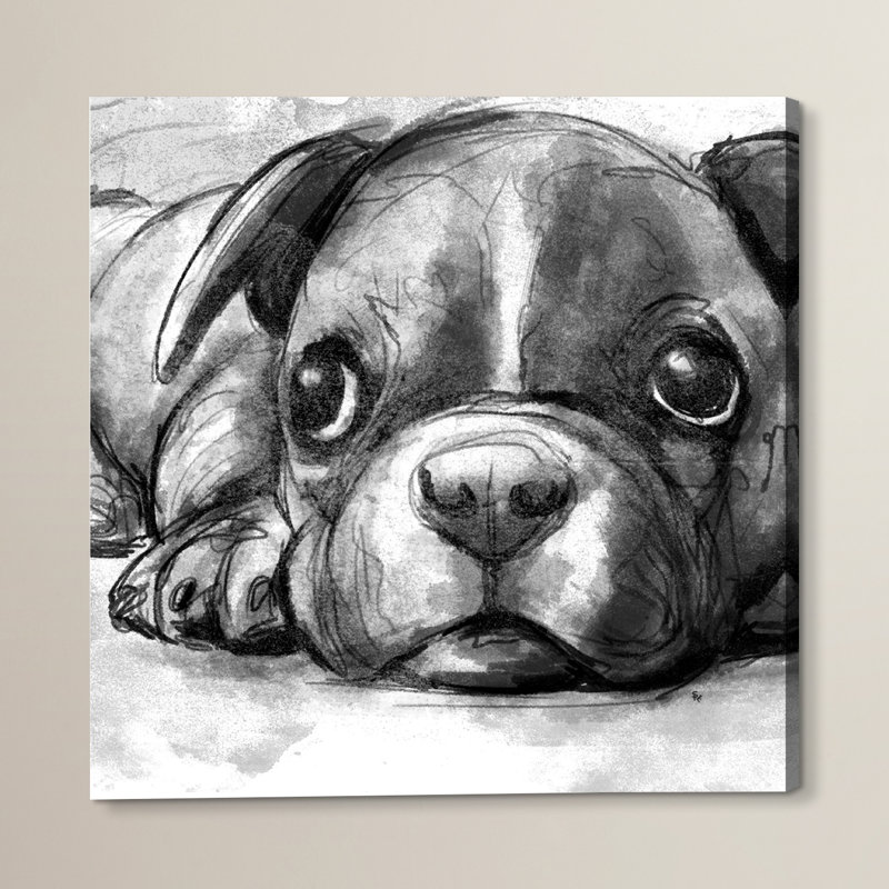«boston terrier, reproduction d’art sur toile tendue, H 20 po x l 20 po x P 1,5 po