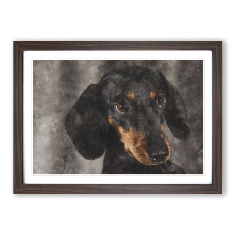 Portrait of a Dachshund Dog - Framed Print, 24cm H x 33cm W x 2cm D, Walnut Framed