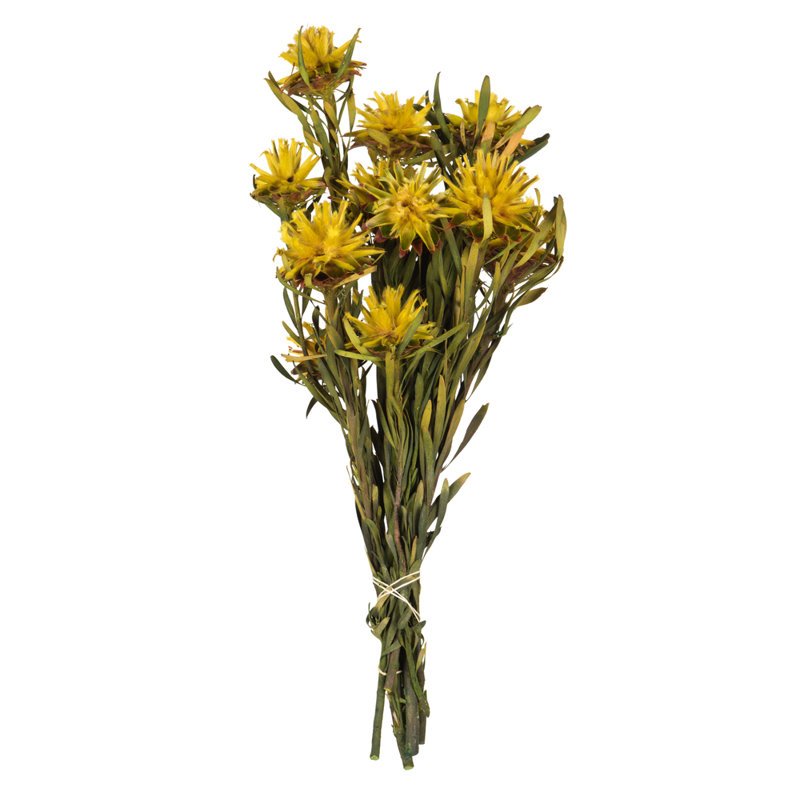 Preserved Arrangement