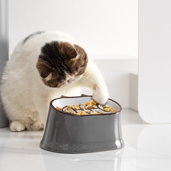 Slow Feeder Cat Bowl, Elevated Cat Food Bowl Tilted Design Y YHY