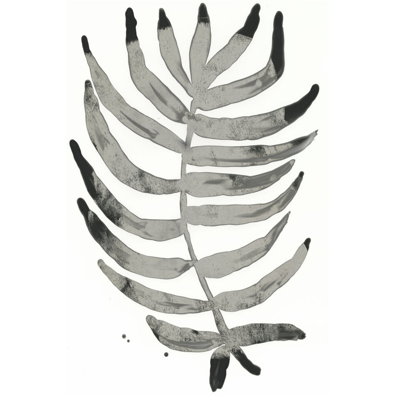 Foliage Fossil IV by June Erica Vess - Wrapped Canvas Print, 46cm H x 30cm W x 3.8cm D