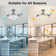 Enry 20'' Ceiling Fan with LED Lights