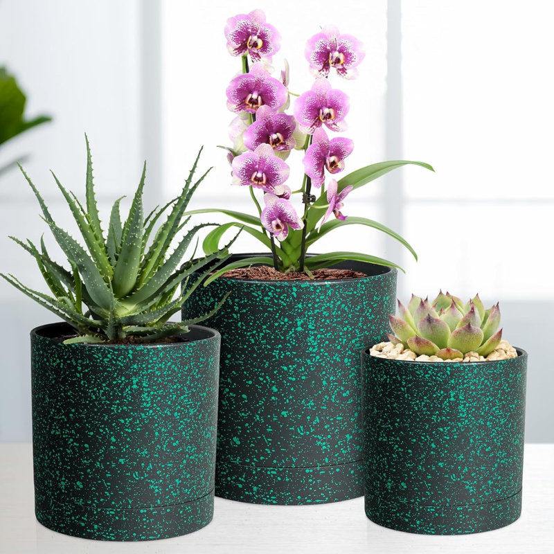 Paquet de 5 pots de plantes en plastique noir / vert tacheté 7 / 6,5 / 6/5/4 po