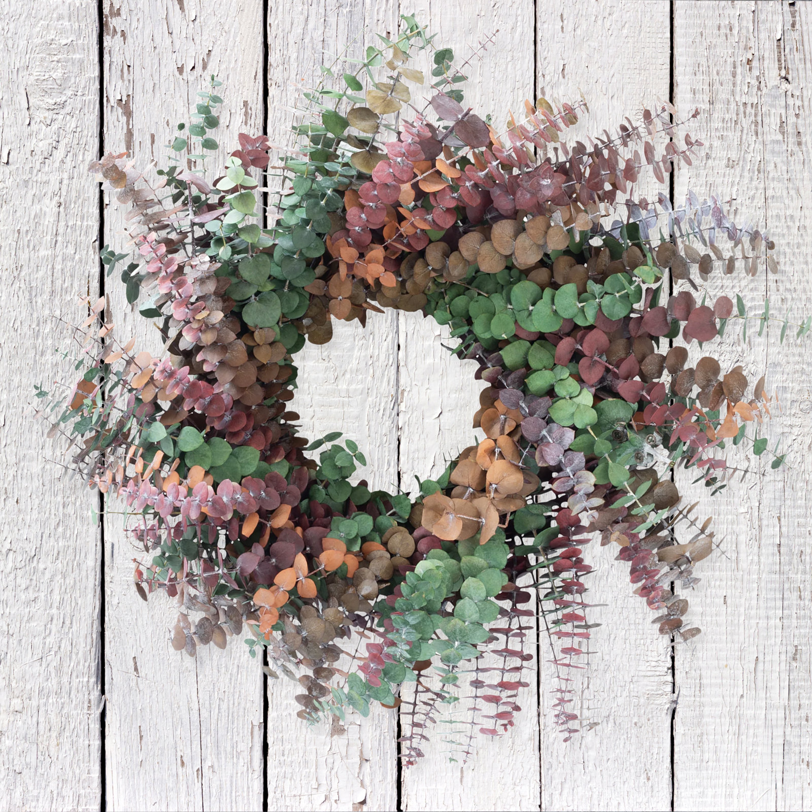 19'' Handcrafted Preserved Eucalyptus Baby Eucalyptus Wreath, Green/Yellow/Wine