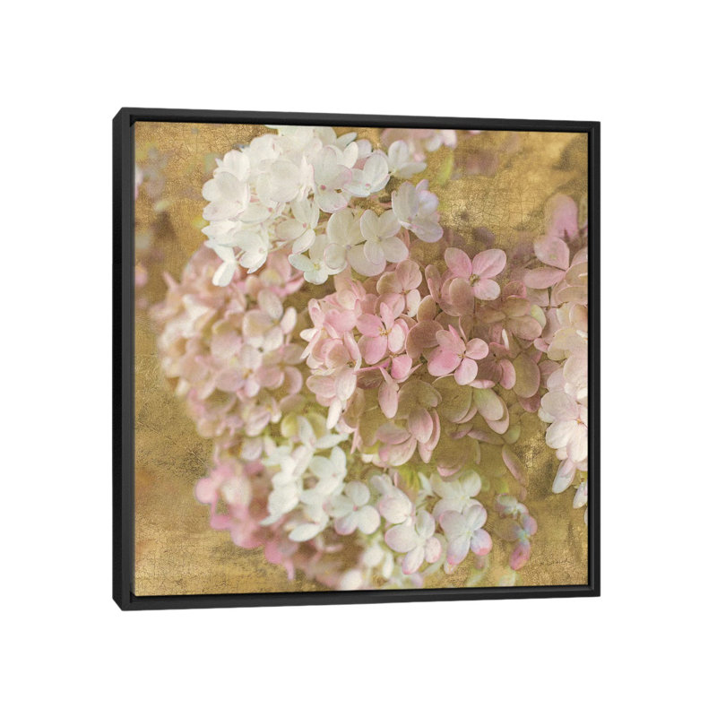 « gilded hortensia ii », impression sur toile tendue, H 18 po x l 18 po x P 1,5 po, Toile avec cadre noir, Pas de tapis