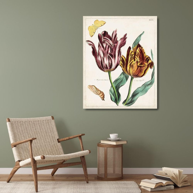 Art sur toile tendue avec galerie Lark Manor Inconnu, Tulip Classics II, H 34 po x l 28 po