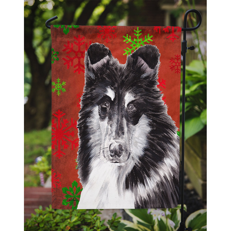 Drapeau rouge et vert Vart, Collie barbu 4
