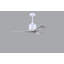 Nan 42" Ceiling Fan In Blades-1611395864-1662758410
