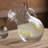 Ivy Bronx Traditional Round Handcrafted Ribbed Tilted Pitcher In Clear
