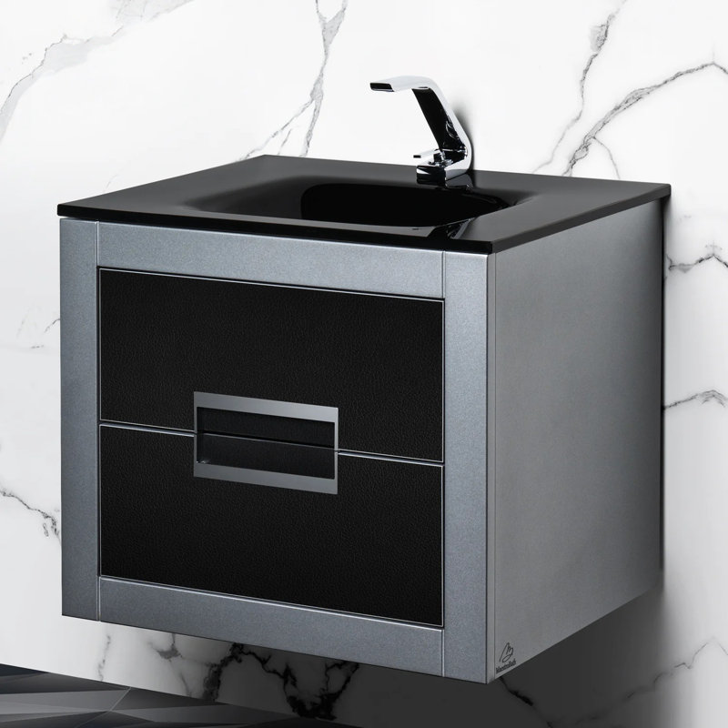 Danya 24'' W Single Vanity, Black, Silver, Silver