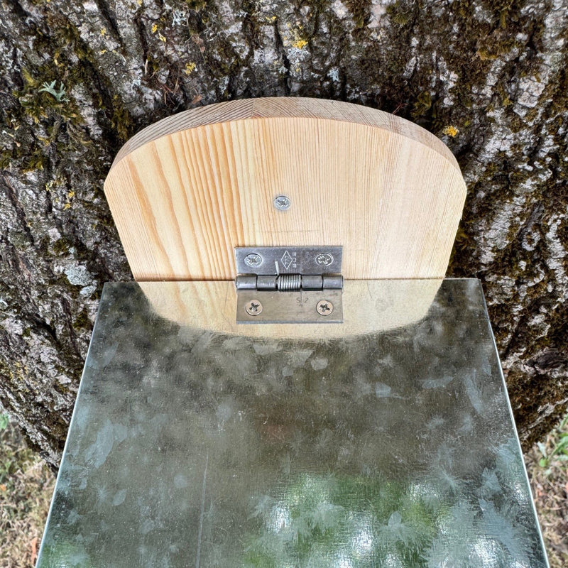 Wall Squirrel Feeder