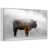 Floating Frame White