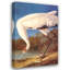 Grue blanche-107112967