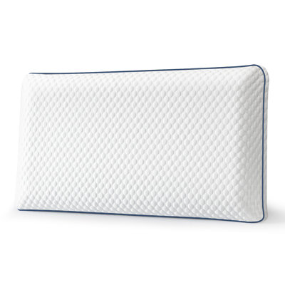 Plush Memory Foam Pillow
