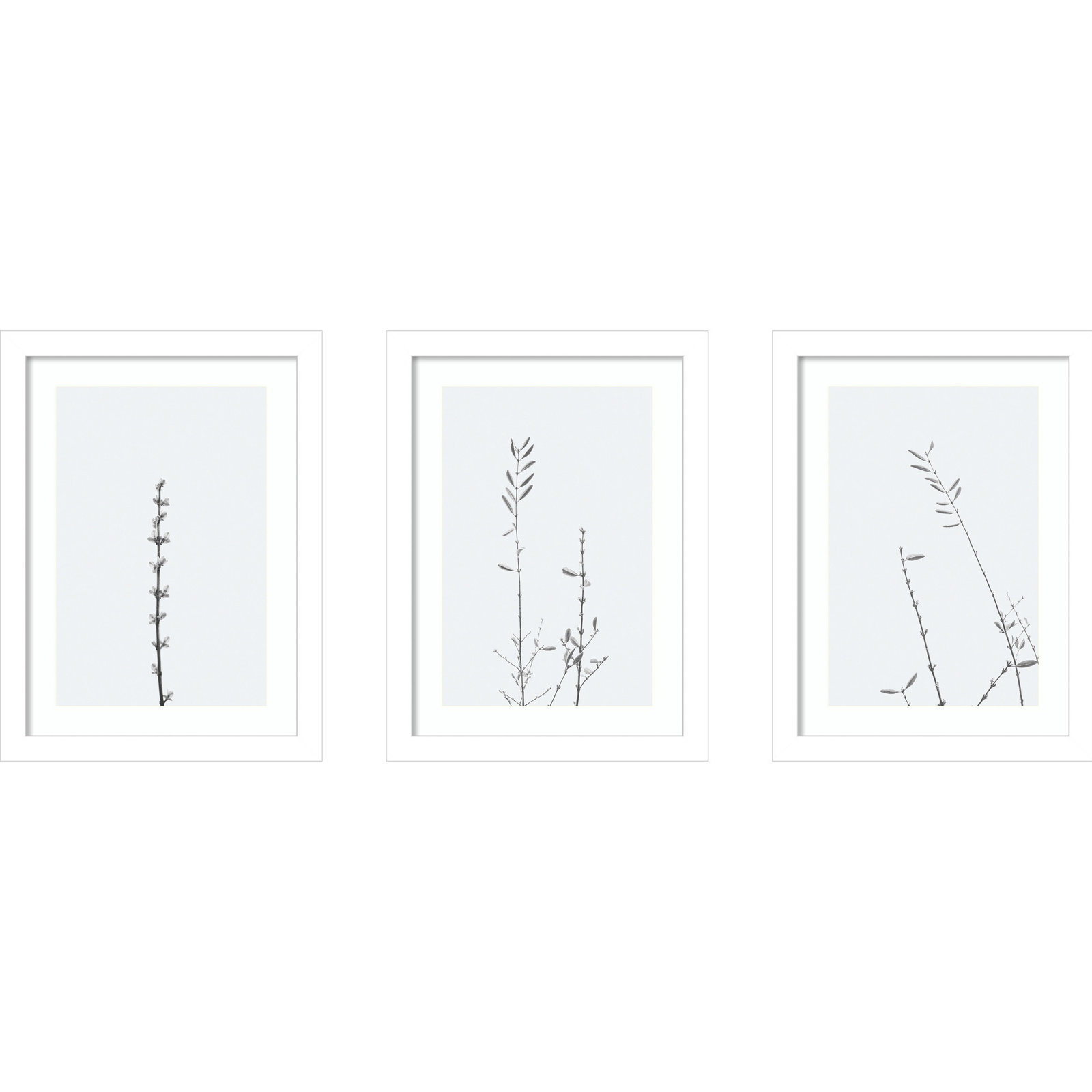 Retro Tennessee Botanical 3-Piece Photo Set, 13" H x 34" W x 1" D, White
