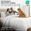 Édredon en duvet synthétique Southwest Fine Linens-2145475986-2145475999