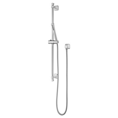 Belshire Personal Shower Faucet