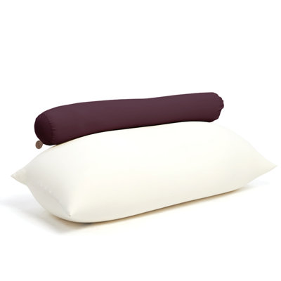 Toby Refillable Bean Bag Set