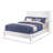 Williams Platform Bed-62680686-62680681