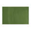 Tapis vert uni intérieur et extérieur-1634822731