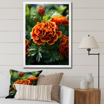Yellow Marigold Medley - Marigold Wall Art