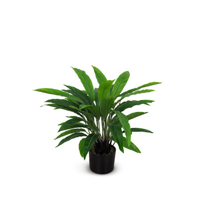 Faux calathea botanique au fini vert
