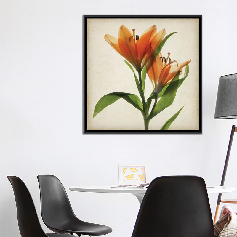 «Parchment Flowers X», impression sur toile, H 18 po x l 18 po x P 1,5 po, Toile avec cadre noir, Pas de tapis