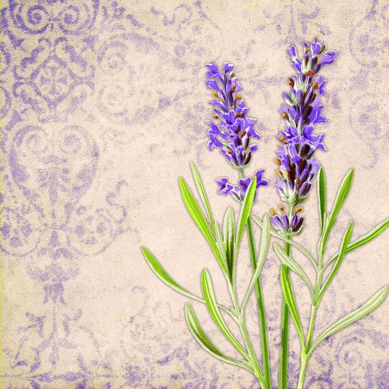 Jolie jolie - impression sur toile tendue, H 12 po x l 12 po