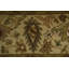Tapis oriental élégant à motif floral beige et olive Agra 4 x 6