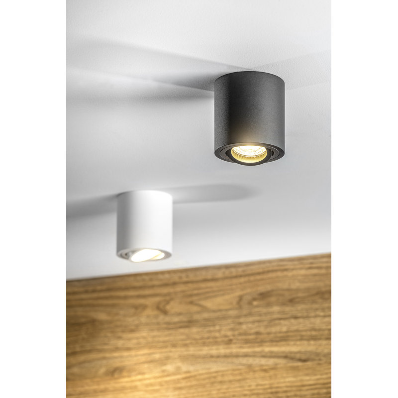 Casidhe Flush Mount, White