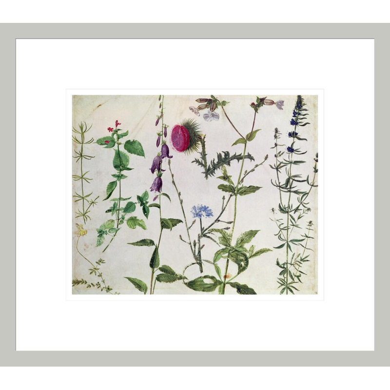 «Huit études de fleurs sauvages» par Albrecht Dürer, impression giclée sur cadre, 13.75" H x 15.61" W