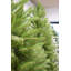 7' H Artificial Fir Christmas Tree