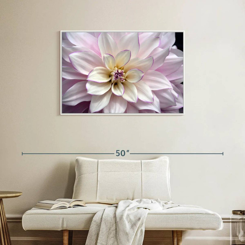 Dahlia blanc et mauve, Cadre flottant blanc, 37 po x 25 po