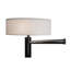 3 - Light Swing Arm