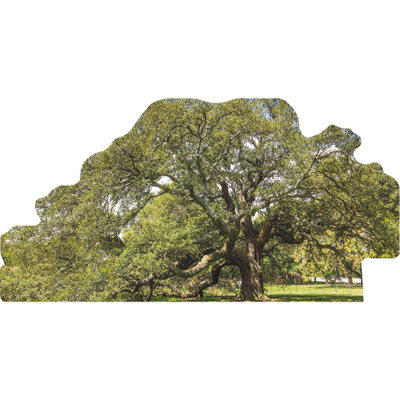 SP13161 Emancipation Oak Virginia Emancipation Proclamation Reading Cardboard Cutout Standee Standup