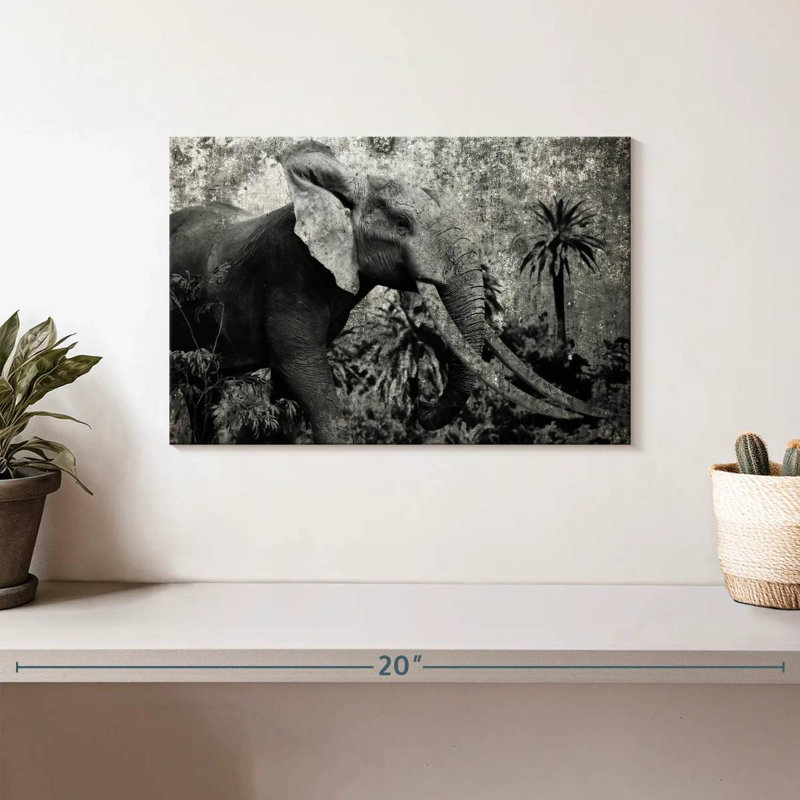 Éléphant safari Brampt Prime, H 8 po x l 12 po