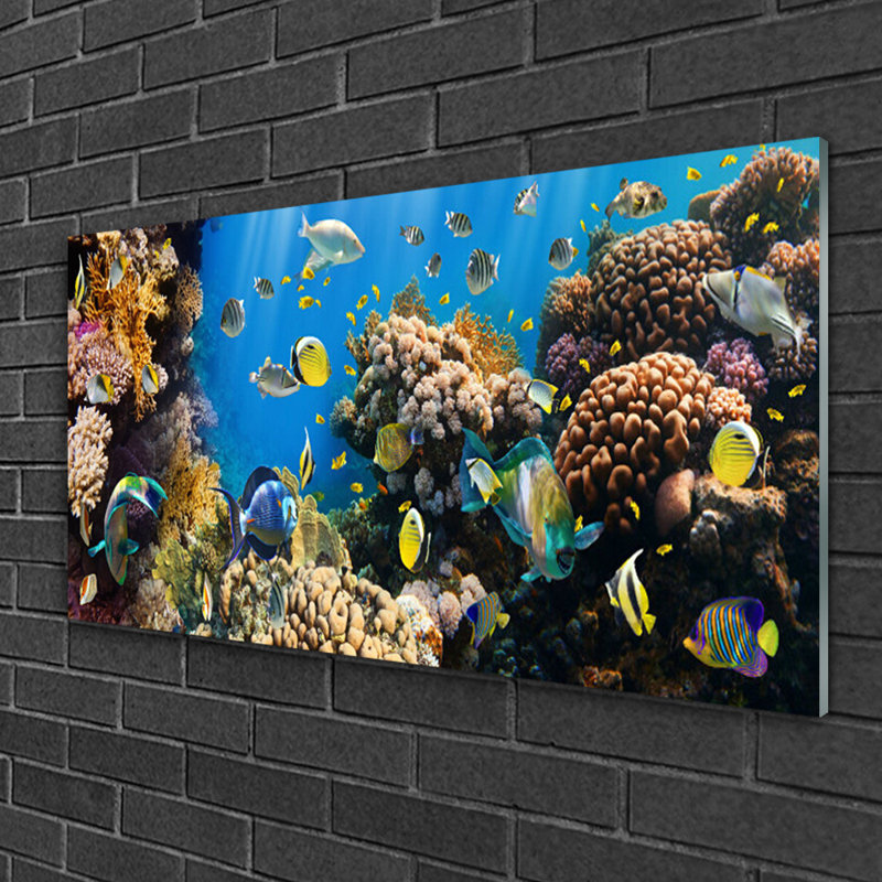 Nature Coral Reef - Unframed Photograph on Glass