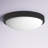 Mila Glass LED Flush Mount-1041223776
