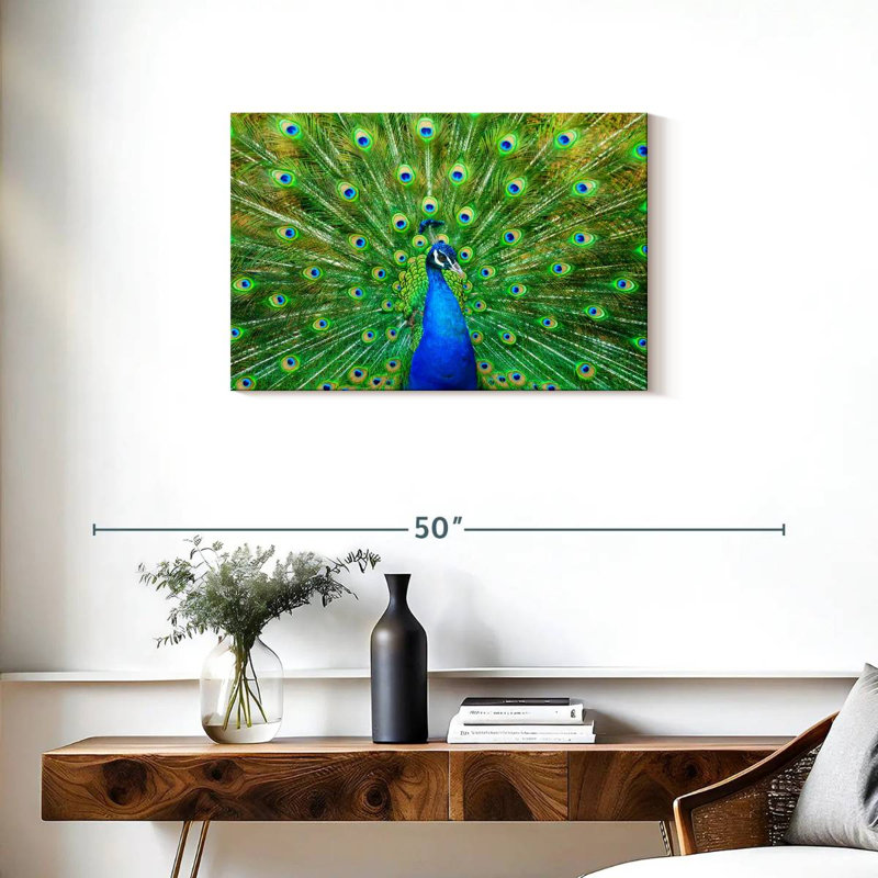 Crowle flamboyant paon, H 20 po x l 30 po