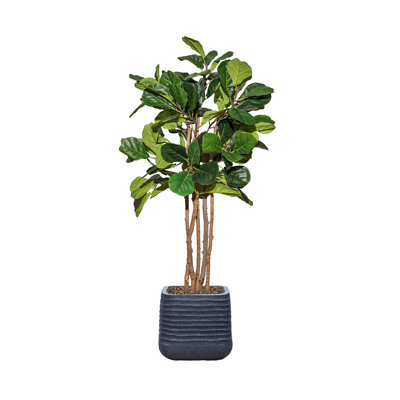 67.57'' Faux Fiddle Leaf Fig Tree in Planter